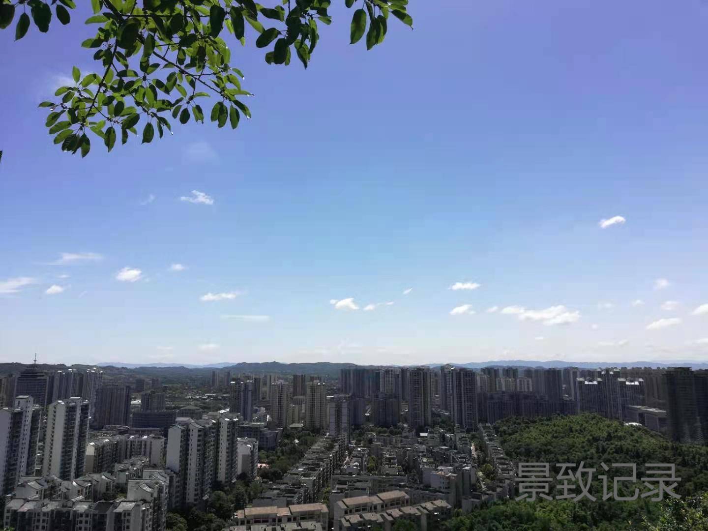 景致记录：重庆市大足区南山，月季与蔷薇本是同根生，却也把春争