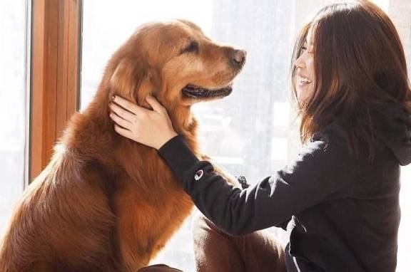 怎么教狗狗不能咬东西 c4b30991014c48d2b91b3aa2100f1904.jpeg