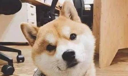 1ade046df5f54b82934749f6012ad6ec.jpeg