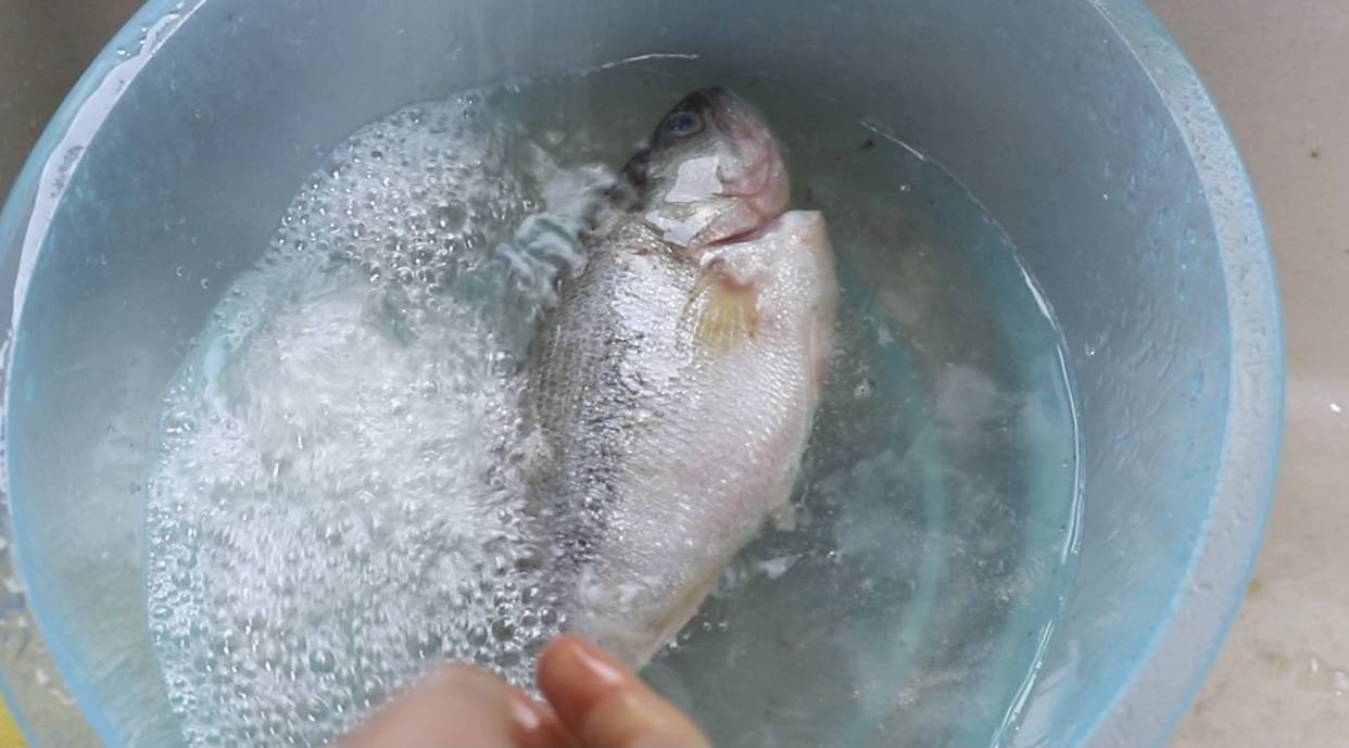 鱼多久熟 791346fd40c848509392206718596a24.jpeg