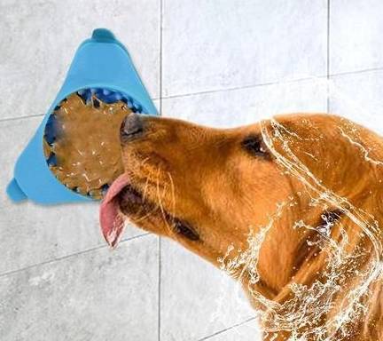 什么是舔狗最详细的解释 c69d8232202e41e0b371a417704b4e87.jpeg