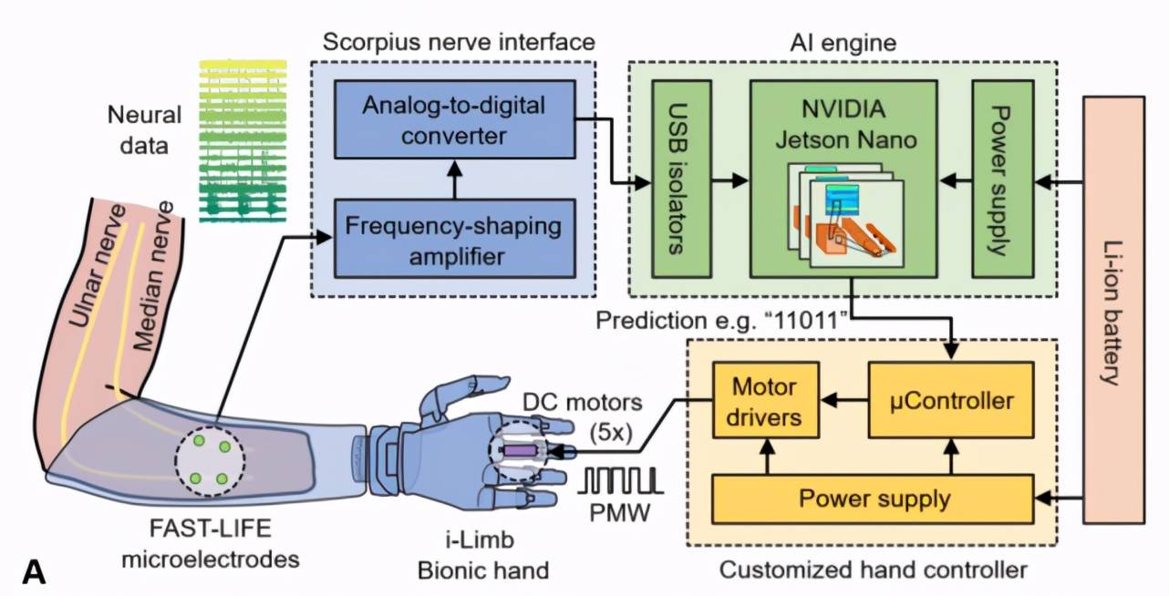 控制|开发板能这么用？美国学者用Jetson Nano支持假肢，控制每一根手指