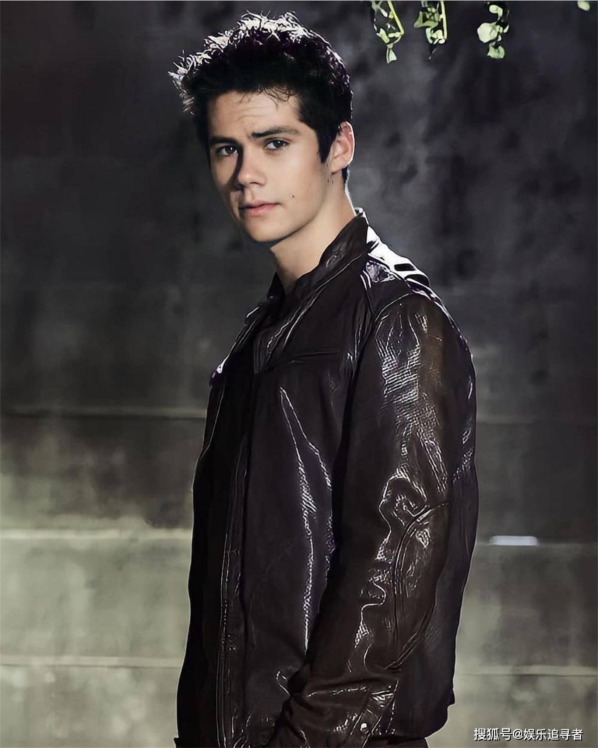 她为何如此受欢迎呢?_dylan