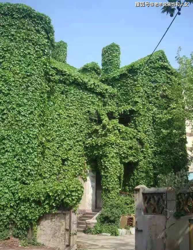 青岛龙口路36号:戴雨农最后一晚居住的地方