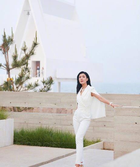 苏芒不愧是时尚集团总裁,近50岁的人40岁的气质30岁的身材_手机搜狐网