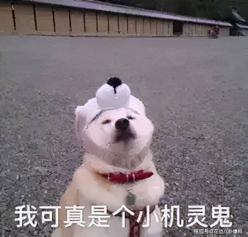 原创蓝山传上出身草根自卑又毒舌被大佬相中的当红小生