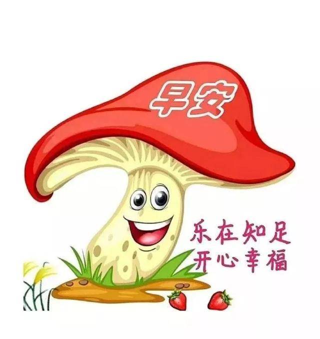 旱晨问候语早晨好  最新早上好图片 动人图片