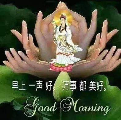 旱晨问候语早晨好  最新早上好图片 动人图片