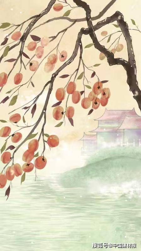 邓州风物记之柿树