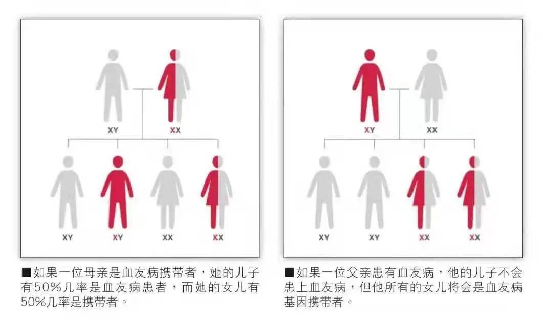 世界血友病日 | 被称为皇室贵族病的血友病究竟是什么?为何血流不止?