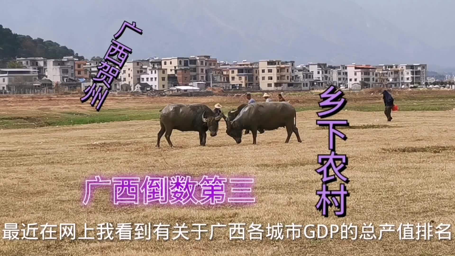 实拍广西第三落后城市,真实乡下农村,看到这面貌你会吃惊吗?