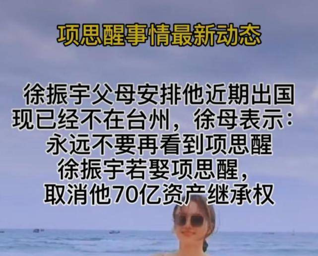 徐振宇为继承家族70亿产业不惜悔婚项思醒还要出国避风头