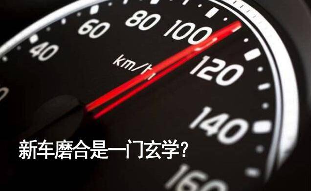 d8151fe8441c482a924d032f6b493523.jpeg