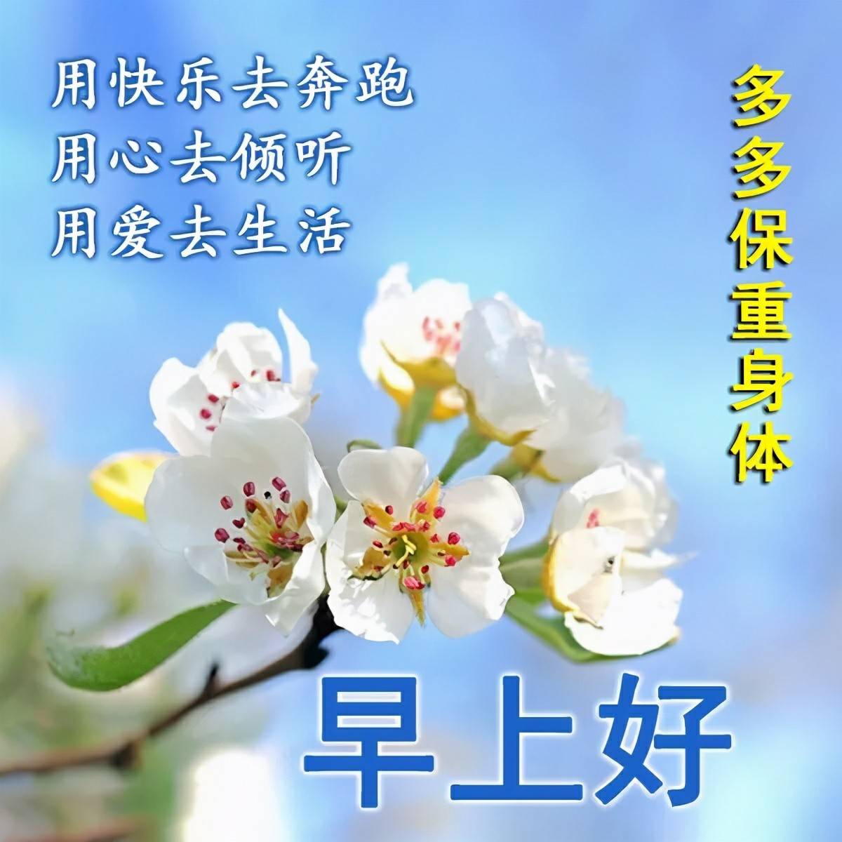 早上好祝福精選詞句圖片,願我的問候帶給你快樂,早安我的朋友!_人生