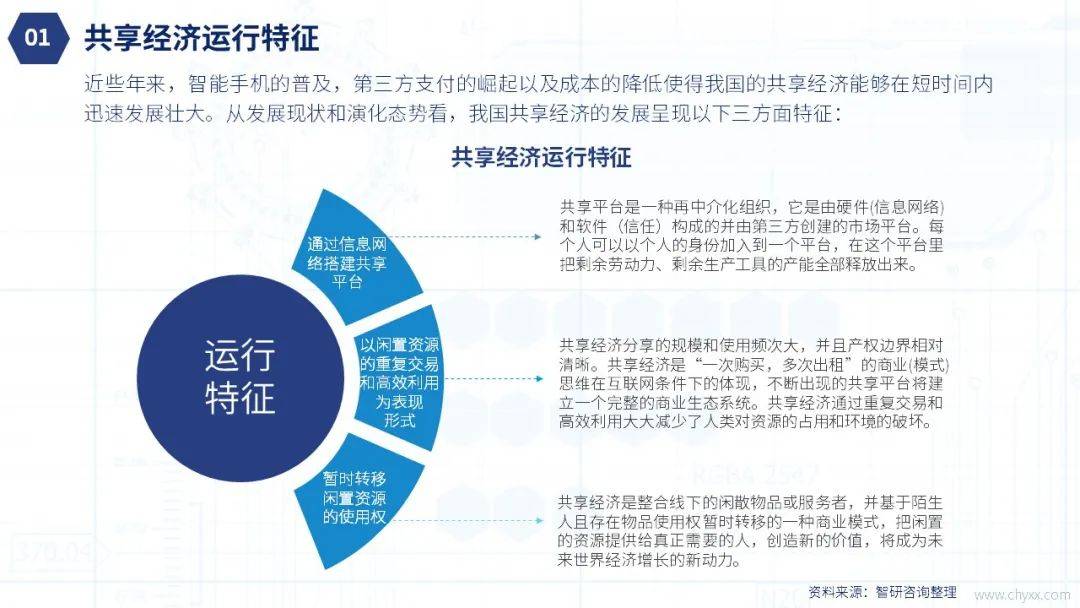 2020年中国共享经济行业市场全景调查分析报告图