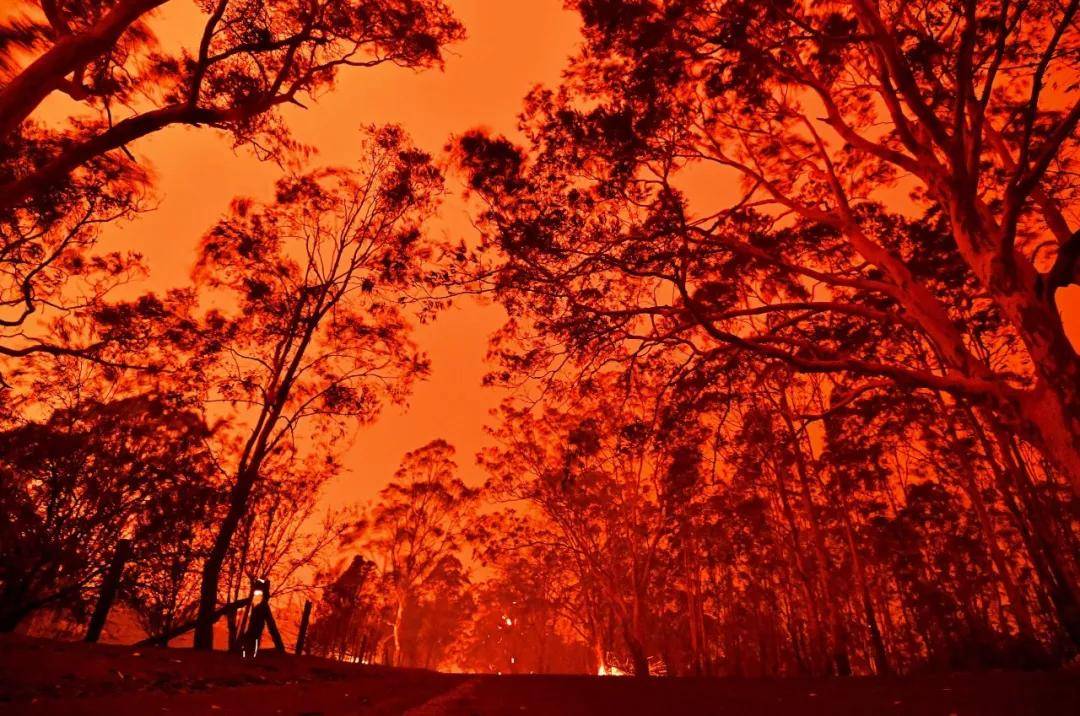 蒙古国草原大火蔓延至中国境内,这组对比图太揪心!