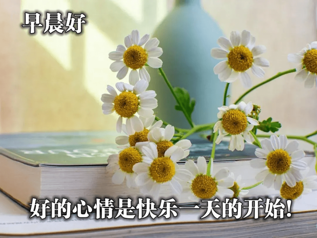 a4c241f9c3244e6b83264cb09d5fc63e.png