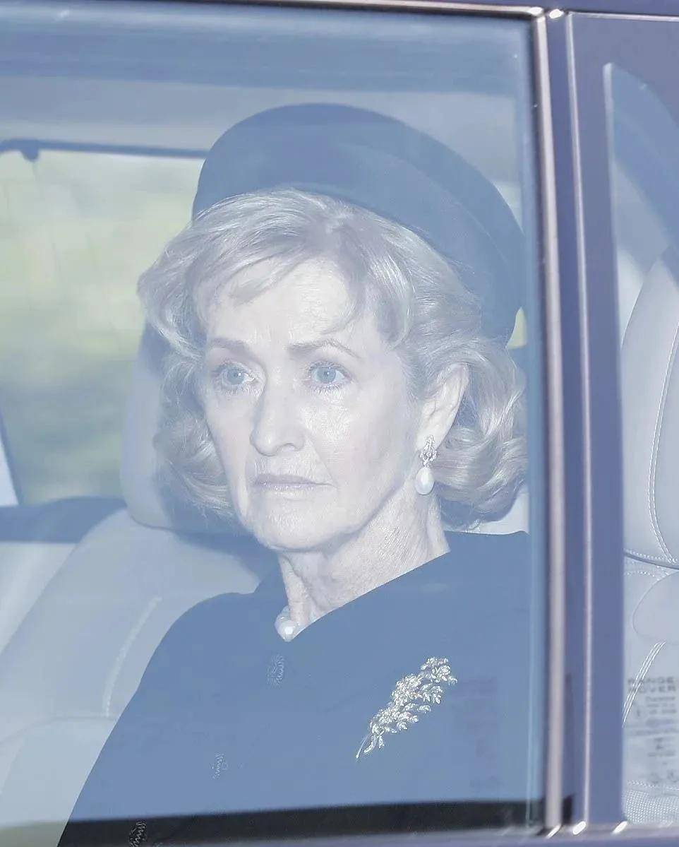 菲利普亲王的亲人等;以及唯一的一个例外,现任蒙巴顿伯爵夫人——不是