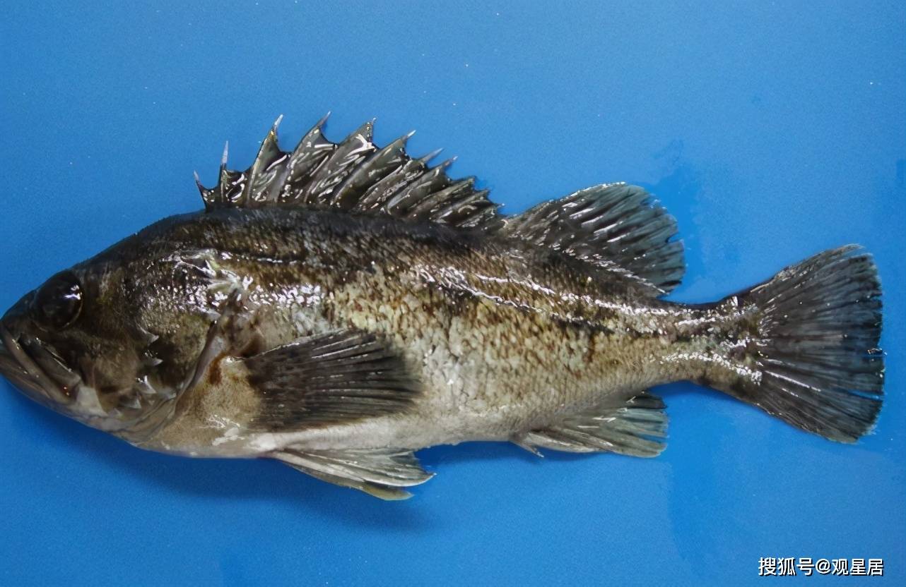 发射线物质释放的射线主要有以下三种,分别为α射线,β射线和γ射线.