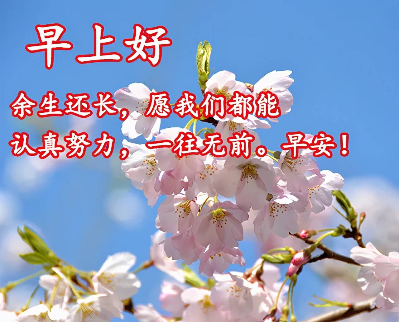 原创有梦想就能看到未来亲们早安早上好温馨祝福词句图片