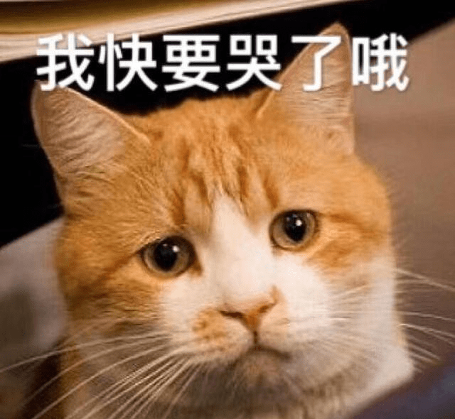 0bd7b494ef9646bebbf754fdce1209c3.png