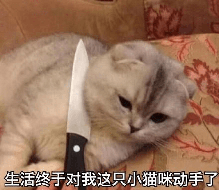 0ff8ff2bf2f74d6dbc69edb1793ced6d.png
