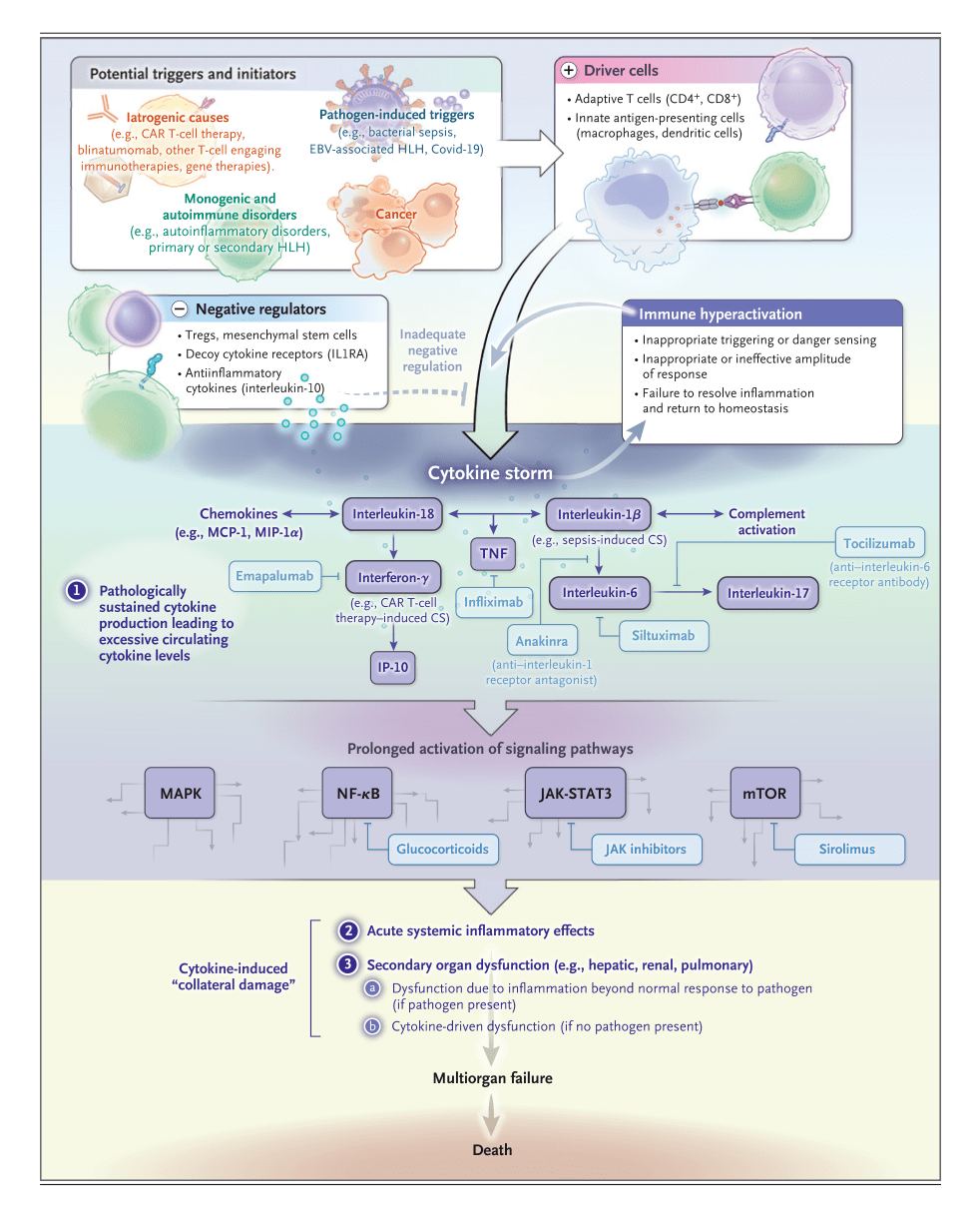 nejm 细胞因子风暴