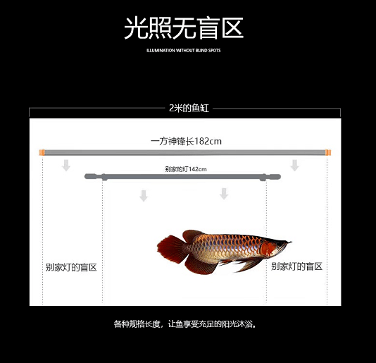 养鱼科普