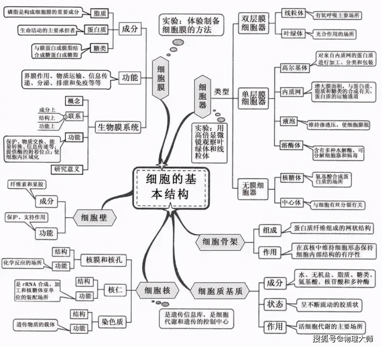 高中生物知识框图图片