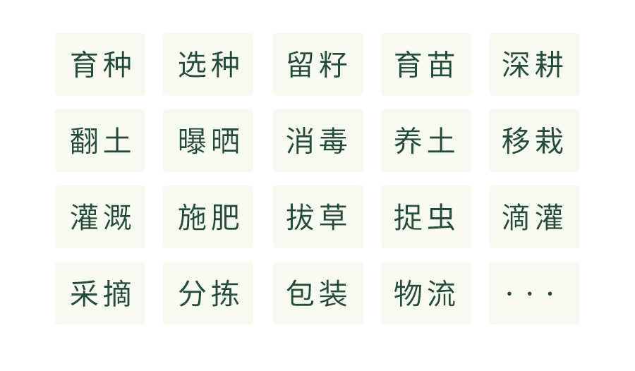 阳雀湖樟树港辣椒领“鲜”上市,揭秘正宗樟树港辣椒真相