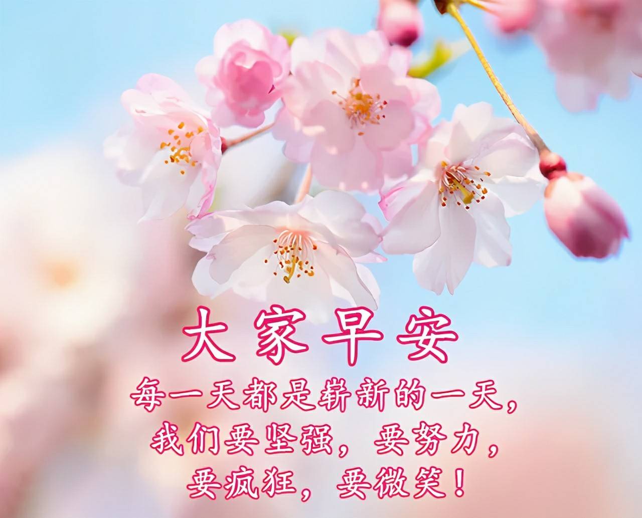 早安,愿你有个美好的一天!世上最最崇高而无