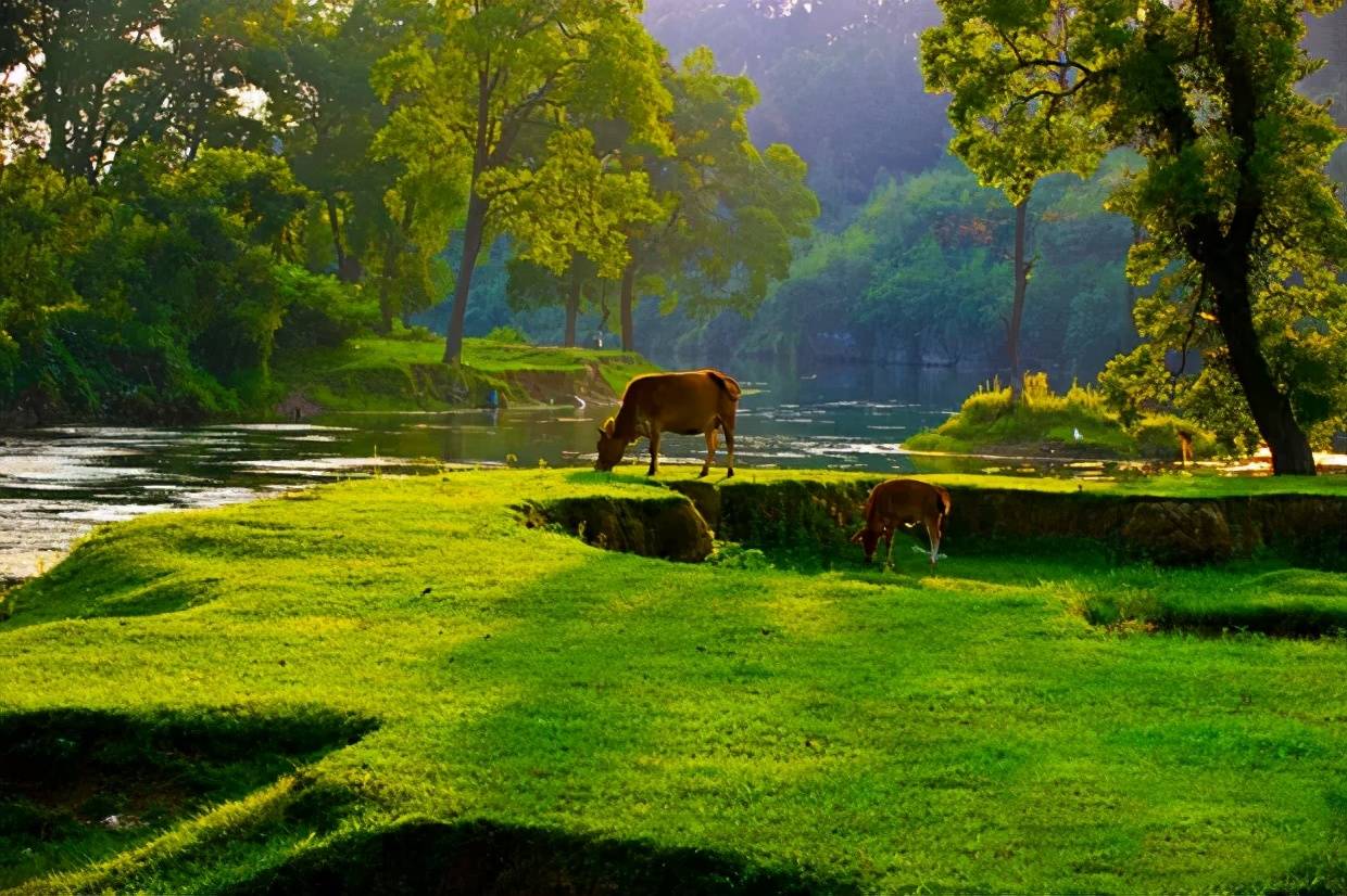 贵州这个安逸悠闲的小城,游客极少风景迷人,正适合小住几日