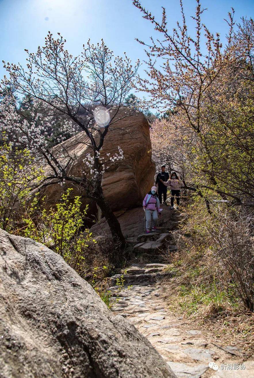忻州陀螺山 春游好去处_摄影