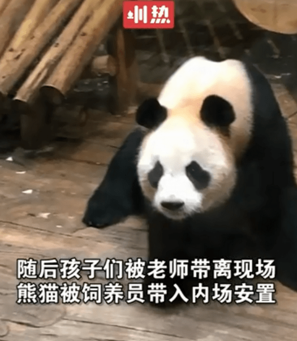 39a9a682825d49db917456e4efe0e4e6.png
