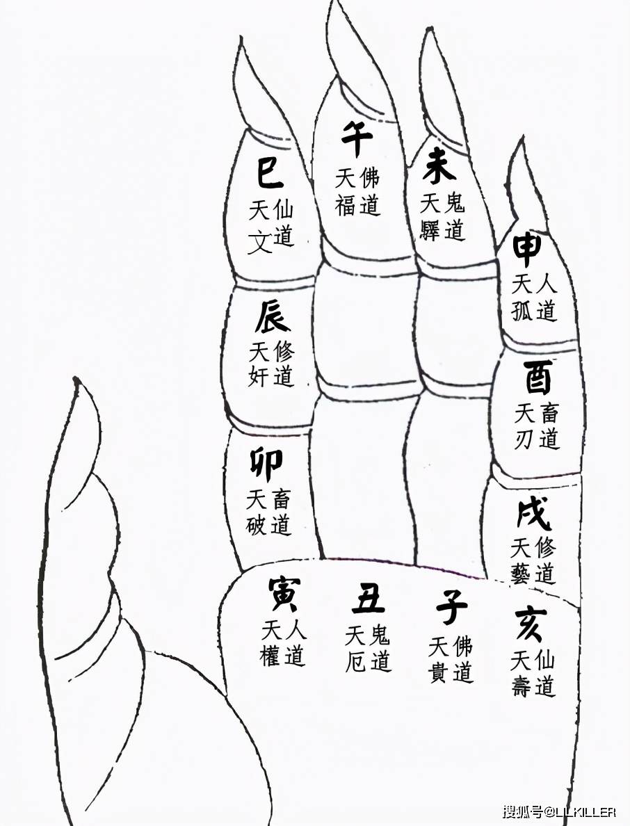 原创哪几个生肖:执着面子,朋友,忽视家人,最终感情不顺,一无所获呢?