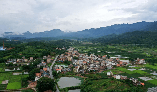 有货无市看供需对接如何打通康溪村乡村振兴的任督二脉