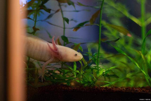 水瓶座的幸运日是哪一天 671adfb52a284e7598c8db40f0f4ada4.jpeg