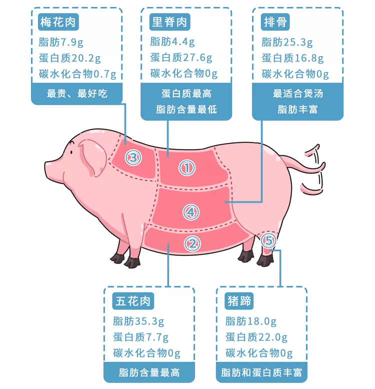 必看 猪身上 最脏 的3个部位 再便宜也不能吃 含量