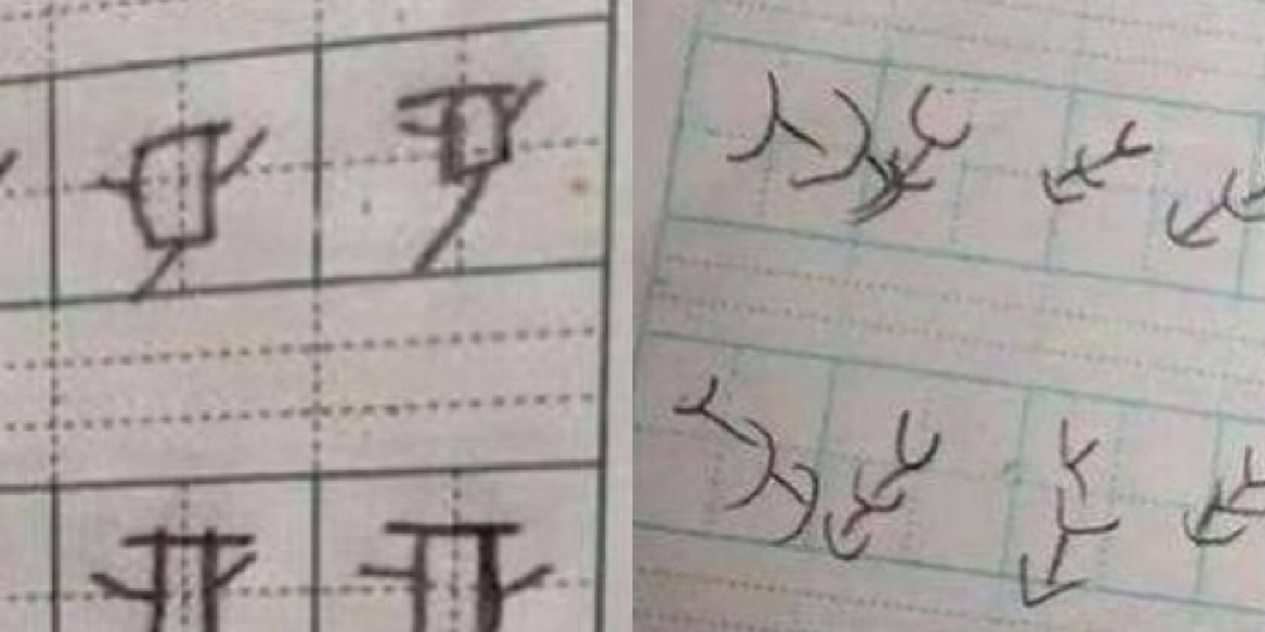 小学生 返祖字体 汉字写成甲骨文 老师称赞有考古学天赋 考试