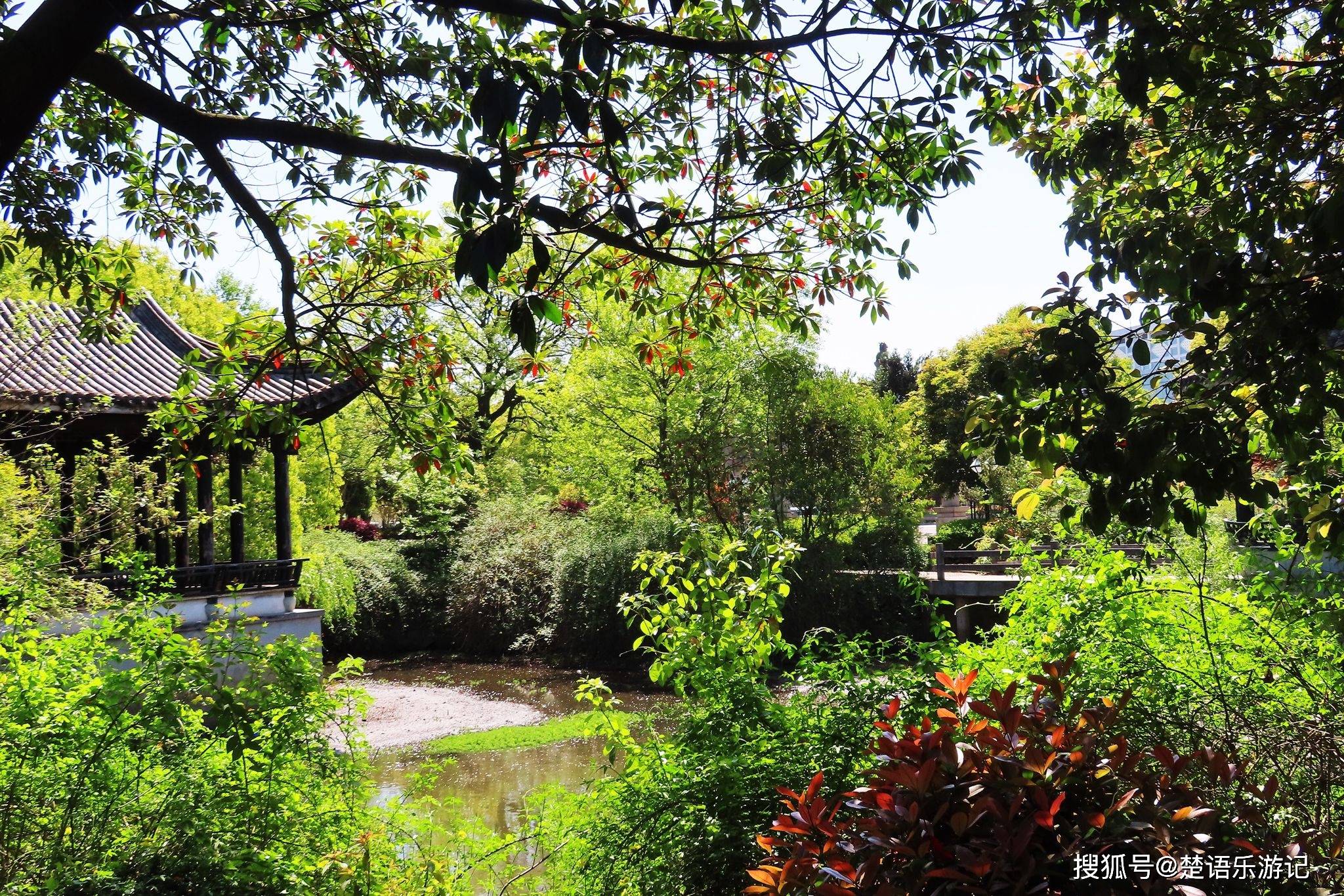 慈城有个被忽略的景点,像一个小"绿肺",林中藏着一个美丽书房_公园