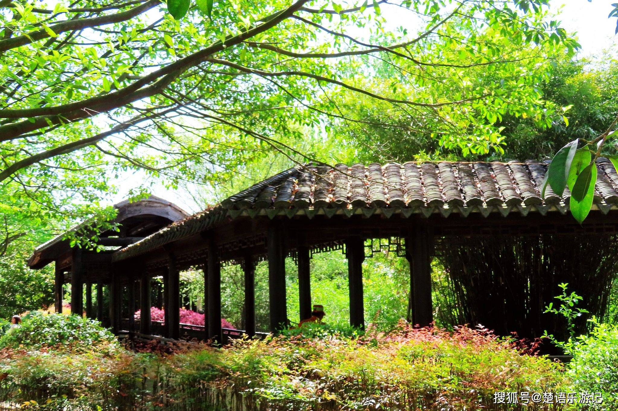 慈城有个被忽略的景点,像一个小"绿肺",林中藏着一个美丽书房_公园