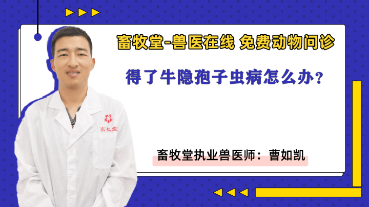 得了牛隱孢子蟲病怎麼辦如何治療