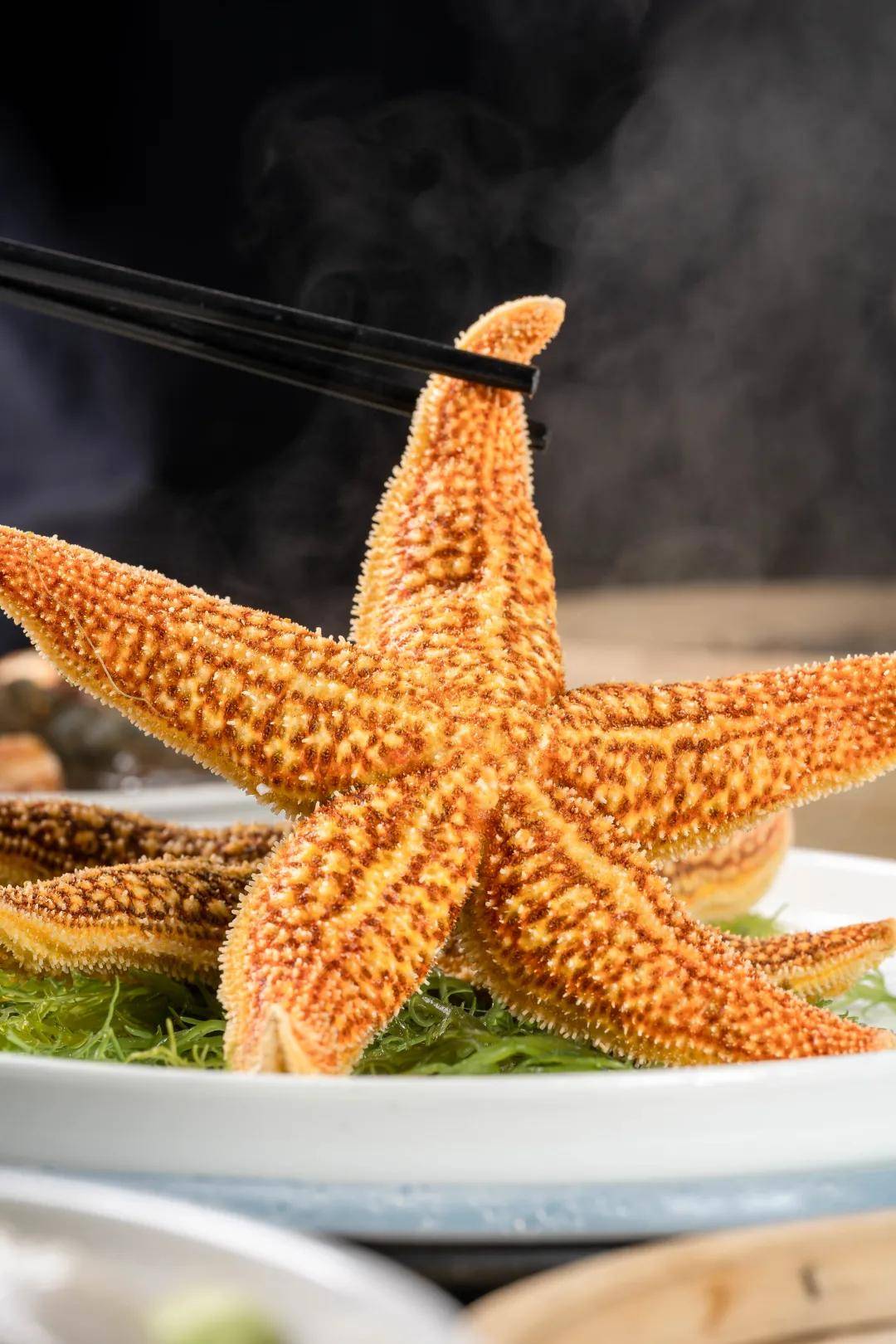 将海星蒸着吃比脸还大只只爆黄爆膏