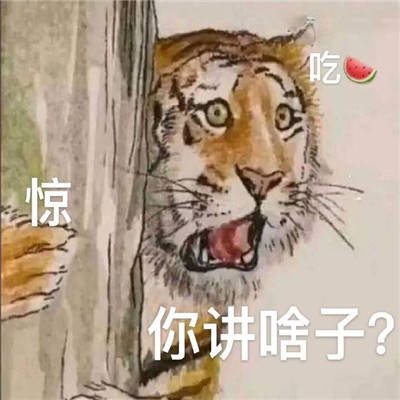 热门的聊天斗图精选表情包大全