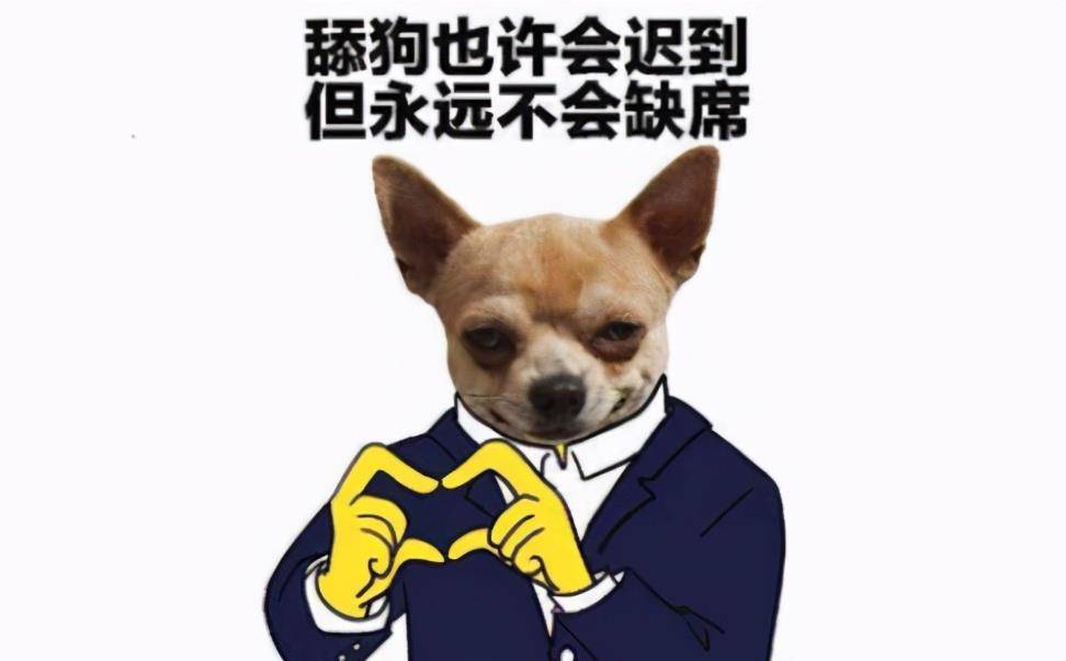 a3743eaa833845a9ad5b4c30144a44bd.jpeg
