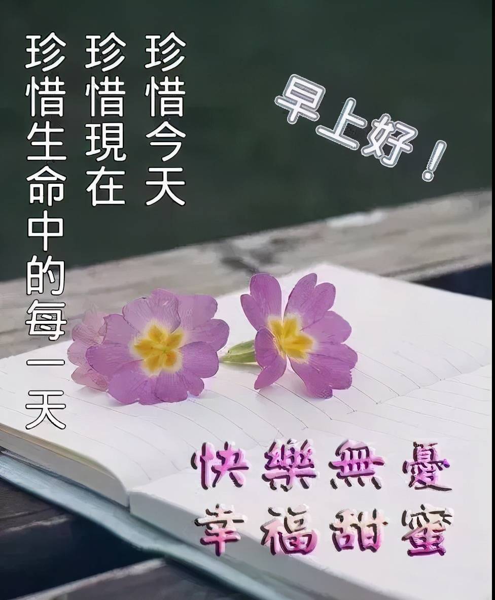 原创早上好表情包早安心语唯美配图早上好问候专辑