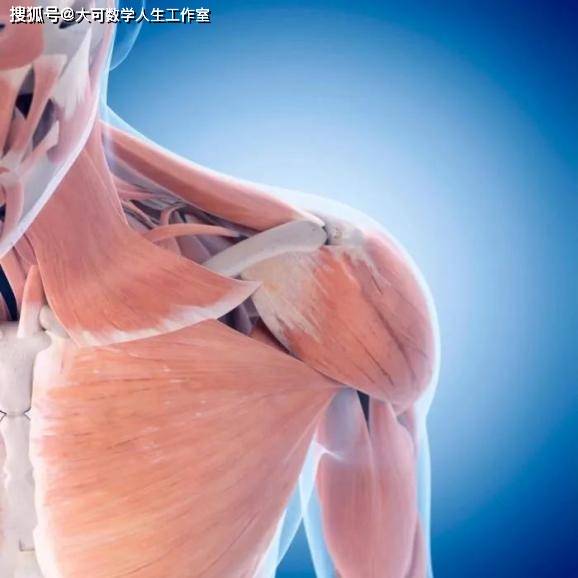 检测|今日话题：细菌马达结构、水质检测技术、古喙鸟幼体、新冠病毒、NASA毅力号…