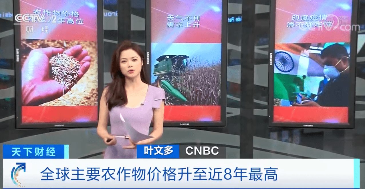 叶文多cnbc图片