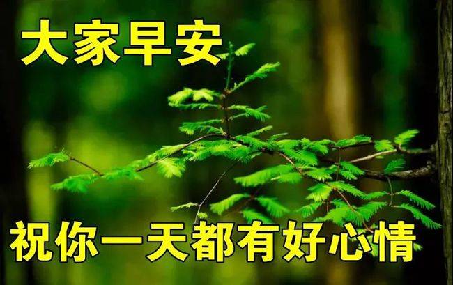 原創2021年4月28日週三早上好問候祝福動態表情圖片最新早安問候祝福