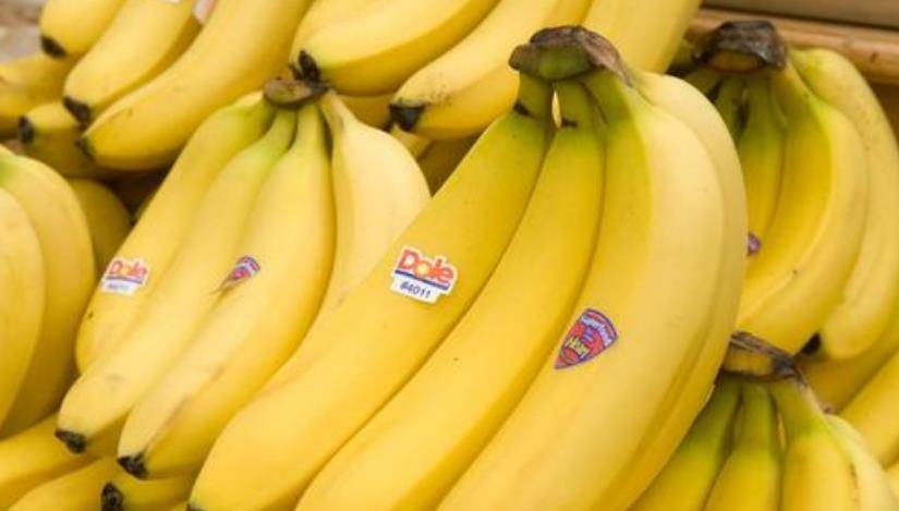 香蕉什么时候采摘最佳 191df4be51254161be228c45b7b2e3a5.jpeg